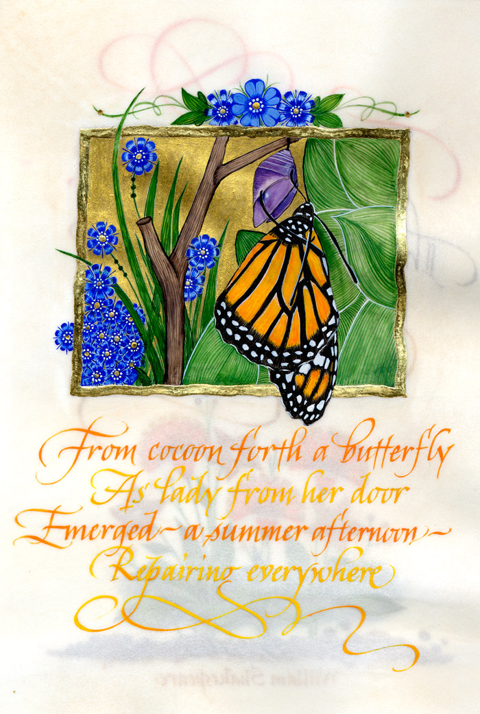 From Cocoon Forth A Butterfly
